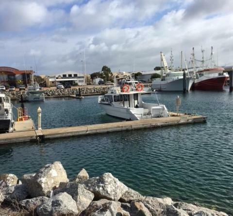 Port Lincoln Shark Apartment 1 المظهر الخارجي الصورة